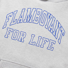 Cargar imagen en el visor de la galería, PLEASURES FLAMBOYANT HOODIE
