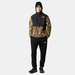 THE NORTH FACE POLARTEC