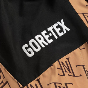 THE NORTH FACE X GORE TEX MOUNTAIN JACKET